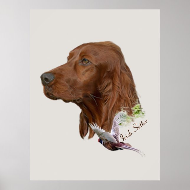 Irish Setter Poster (Vorne)