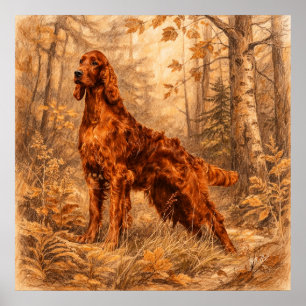 Irish Setter,  Poster
