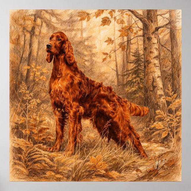 Irish Setter,  Poster (Vorne)