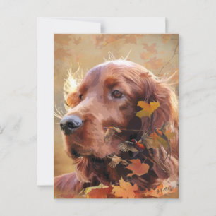 Irish Setter Postkarte