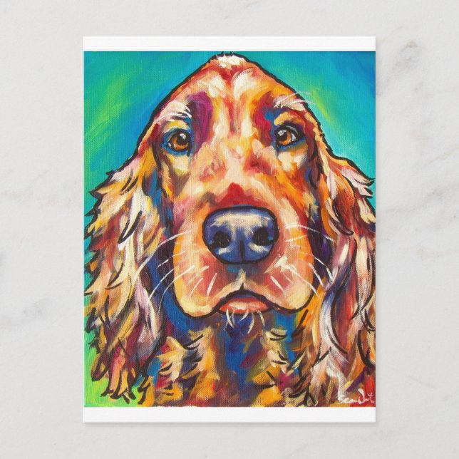 Irish Setter Postkarte (Vorderseite)
