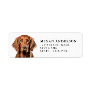 Irish Setter Rücksendeadressen-Aufkleber