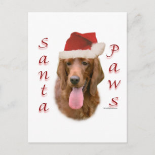 Irish Setter Santa Paws Feiertagspostkarte