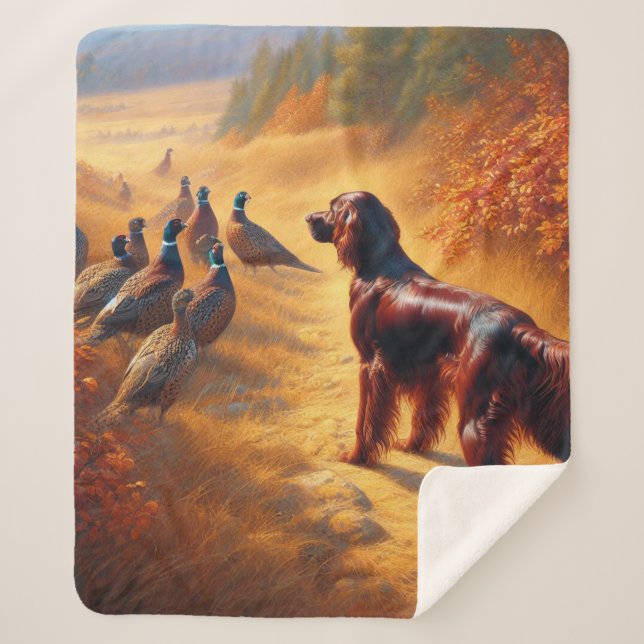 Irish Setter Sherpadecke (Vorderseite)