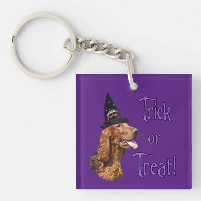 Irish Setter Trick (Devant)