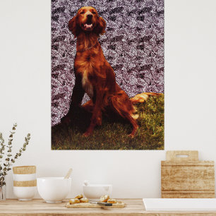 Irish Setter und Gemustertes Betonmauerplakat Poster