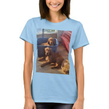 Irish Setter Welppies T - Shirt