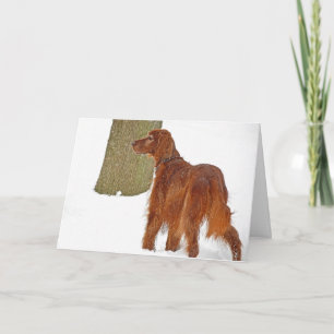 Irish Setter Winter Geburtstag Karte