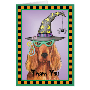 Irish Setter Witch Carte de remerciements