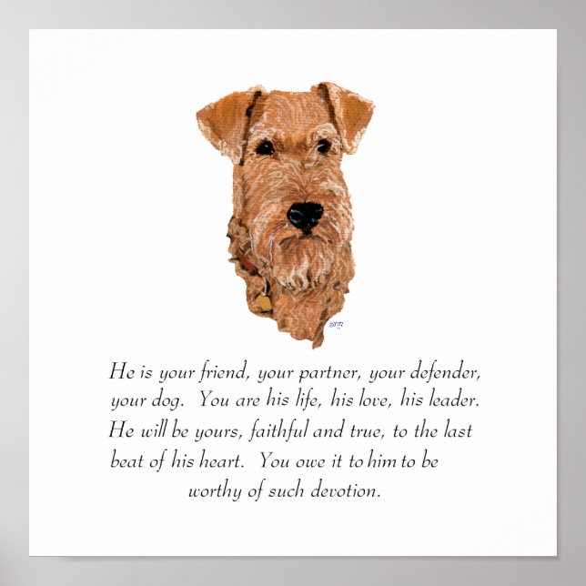 Irish Terrier Andenken - Männlich Poster (Vorne)