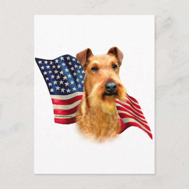 Irish Terrier Flag Postkarte (Vorderseite)