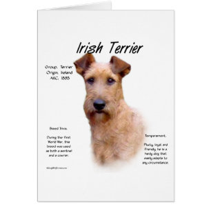 Irish Terrier History Design
