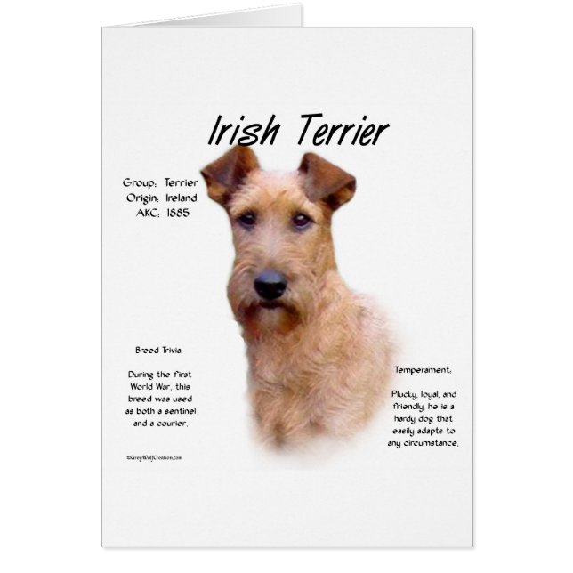Irish Terrier History Design (Vorne)