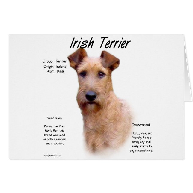 Irish Terrier History Design (Vorderseite (Horizontal))
