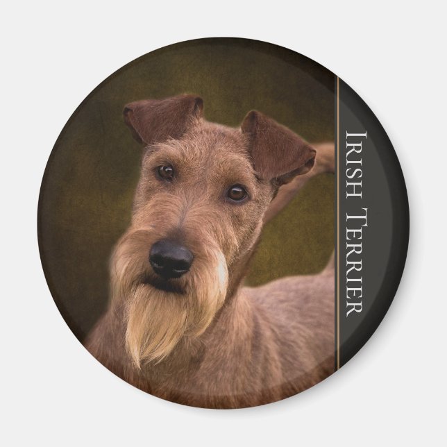 Irish Terrier Magnet (Vorne)