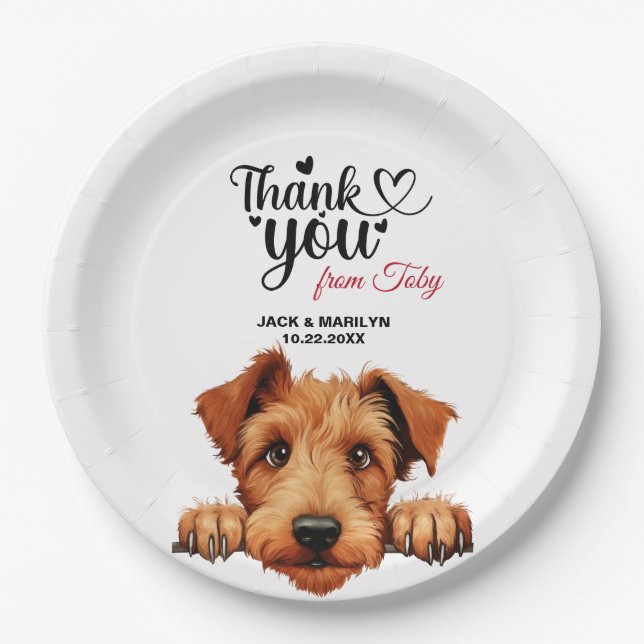 Irish Terrier Pappteller (Vorderseite)