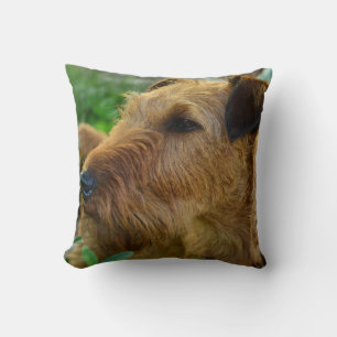 Irish Terrier Pet Dog Throw Kissen Wohngestaltung