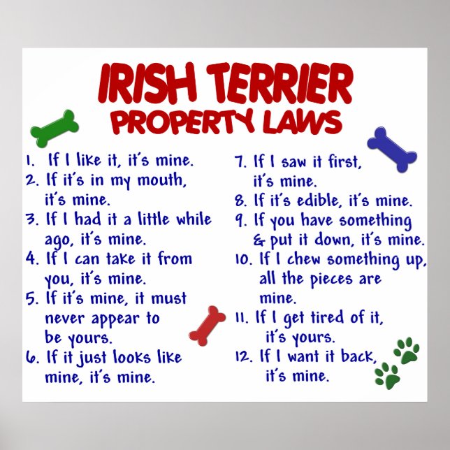 IRISH TERRIER PL2 POSTER (Vorne)