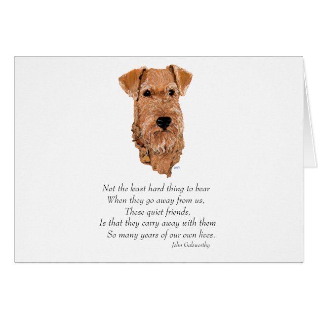 Irish Terrier Rainbow Bridge (Vorderseite (Horizontal))