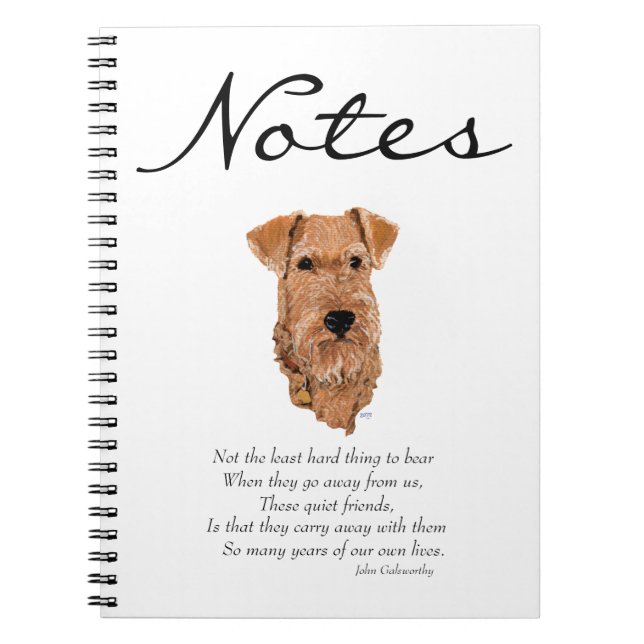 Irish Terrier Rainbow Bridge Notizblock (Vorderseite)