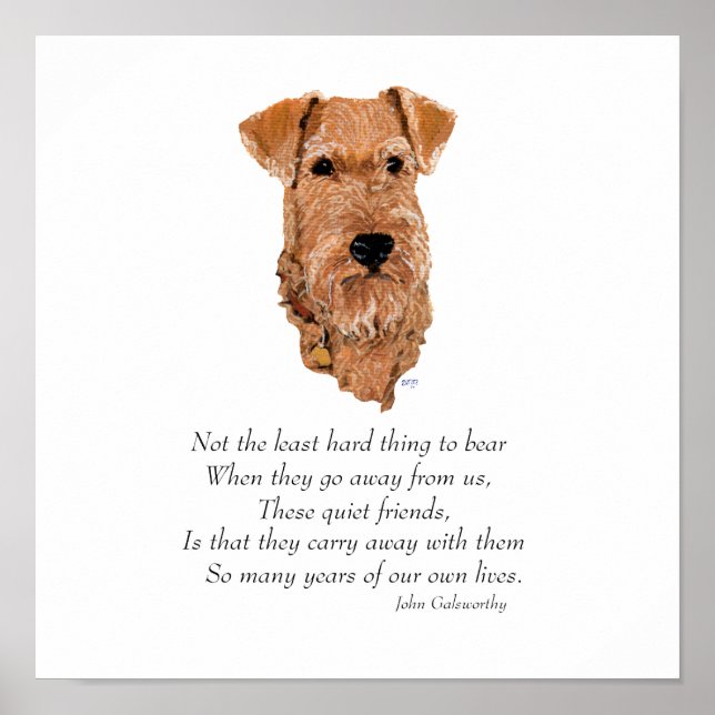 Irish Terrier Regenbogenbrücke Poster (Vorne)