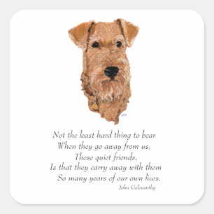 Irish Terrier Regenbogenbrücke Quadratischer Aufkleber