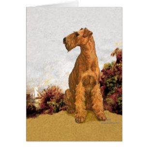 Irish Terrier Seaside