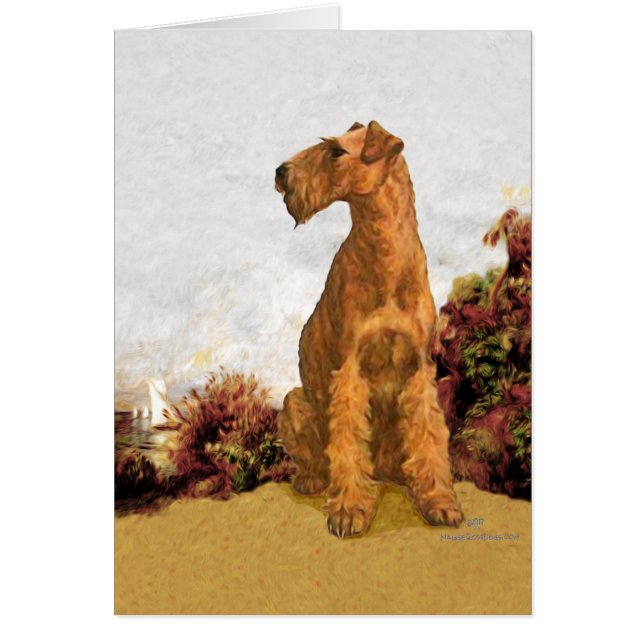 Irish Terrier Seaside (Vorne)