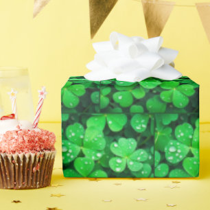 Irish Viel Glück Four-Leaf-Clovers Geschenkpapier