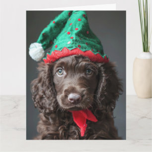 Irish Water Spanel Elf Welpe Weihnachtskarte Karte