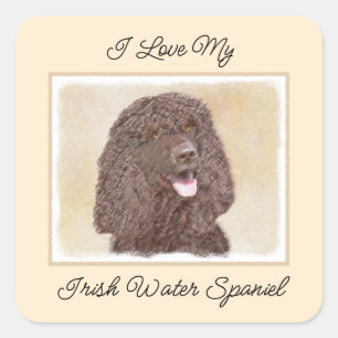 Irish Water Spanel Painting - Original Dog Art Quadratischer Aufkleber