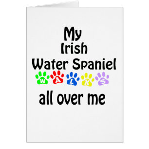 Irish Water Spanel Walks Design