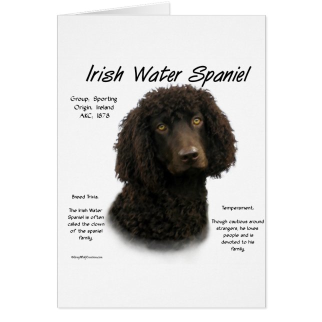 Irish Water Spaniel History Design (Vorne)