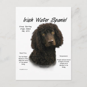 Irish Water Spaniel History Design Postkarte