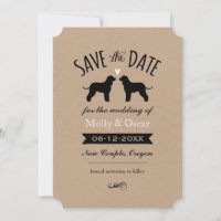 Irish Water Spaniels Hochzeiten speichern das Datu