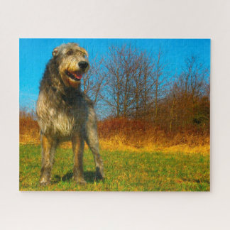 Irish Wolfhound.