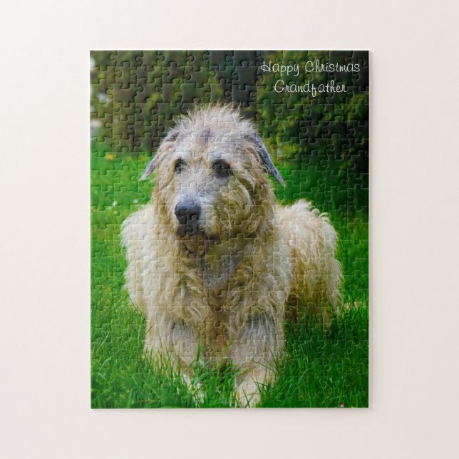 Irish Wolfhound. (Vertikal)