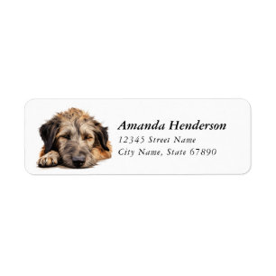 Irish Wolfhound Dog Adresse de retour Étiquettes
