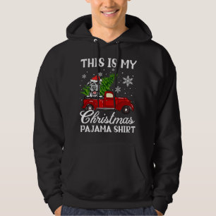 Irish Wolfhound Dog Reiten Red Truck mit Christma Hoodie