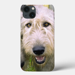 Irish Wolfhound Foto Case-Mate iPhone Hülle
