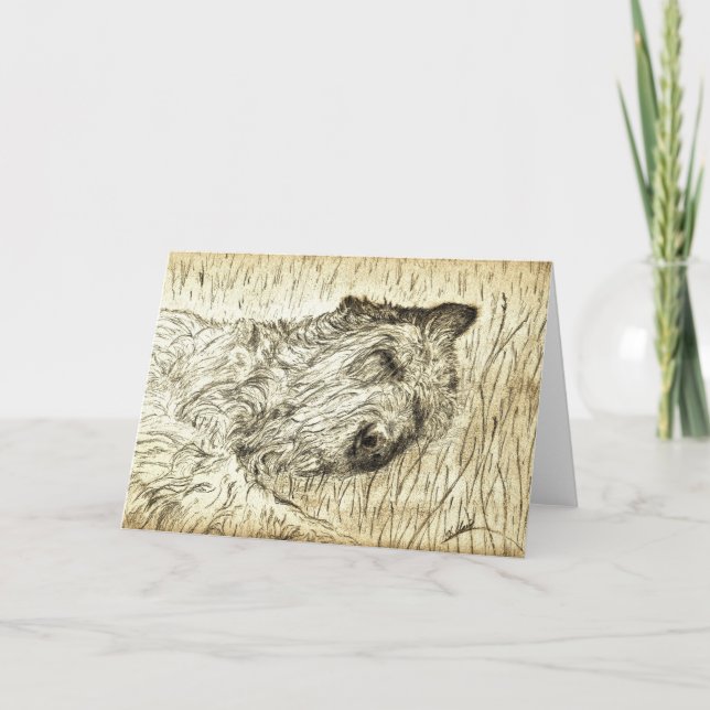 Irish Wolfhound "Gelassen schlafende Hunde liegen" Karte (Vorderseite)