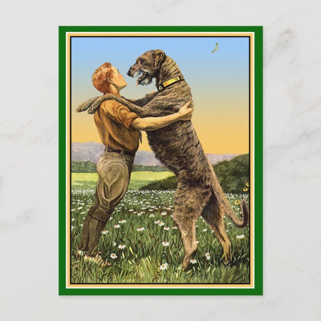 Irish Wolfhound Greeting Postkarte (Vorderseite)