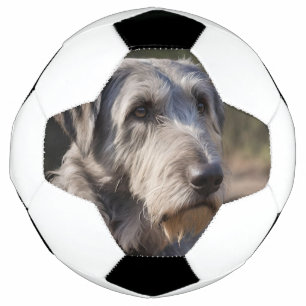 Irish Wolfhound ich bin nicht erstaunt, Fußball