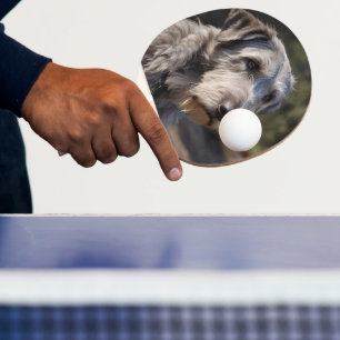 Irish Wolfhound ich bin nicht erstaunt, Tischtennis Schläger