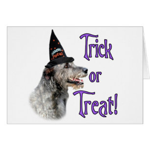 Irish Wolfhound Trick