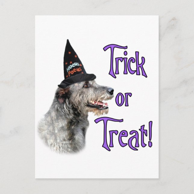 Irish Wolfhound Trick Postkarte (Vorderseite)