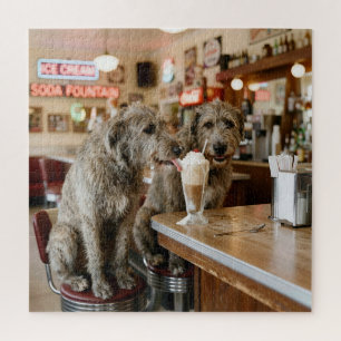 Irish Wolfhounds teilen sich einen Milchshake