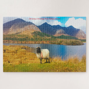 Irish Wooly Sheep Galway Irland. Jigsaw Puzzle