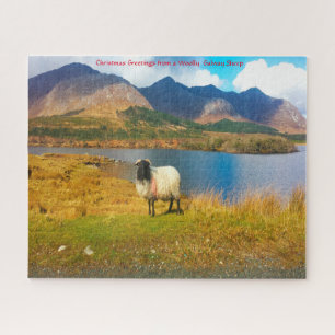 Irish Wooly Sheep Galway Irlande. Jigsaw Puzzle