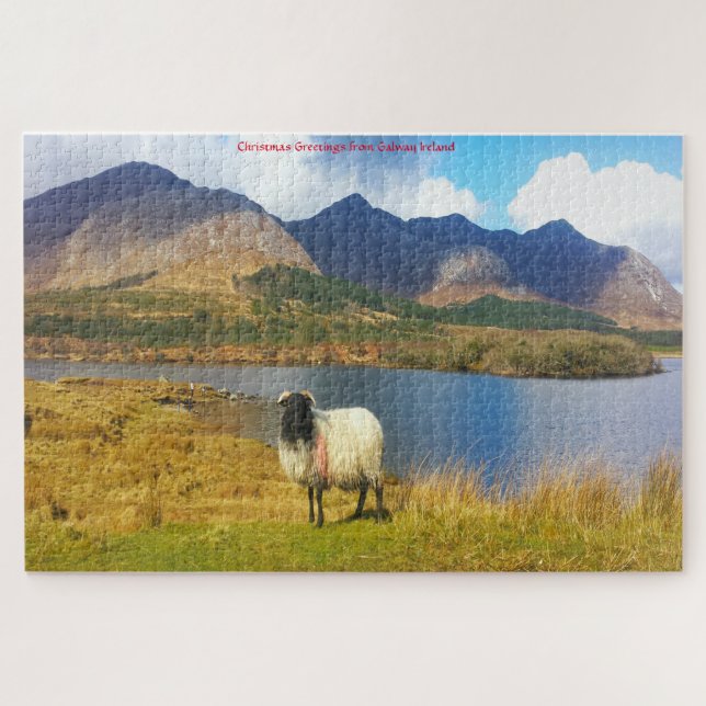 Irish Wooly Sheep Galway Irlande. Jigsaw Puzzle (Horizontal)